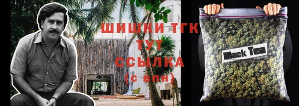 гидра Липки