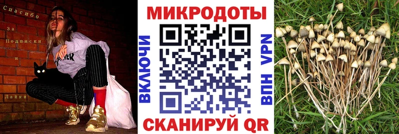 Галлюциногенные грибы мухоморы  Андреаполь 